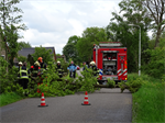 Prio 2 Stormschade Heerenweg Sumar